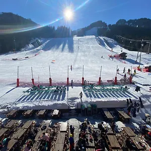 Hotel Le Schuss, Chatel